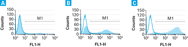 Retrovirus titration by qRT-PCR - Gene function - Takara Bio
