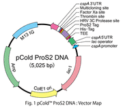 pCold ProS2 DNA - Protein research - Takara Bio