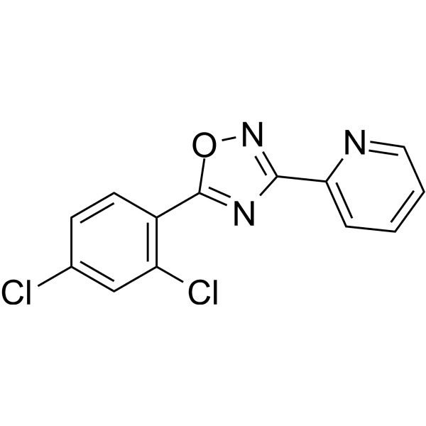 JY-2