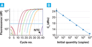 Retrovirus titration by qRT-PCR - Gene function - Takara Bio
