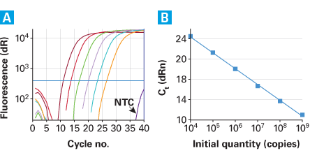 Retrovirus titration by qRT-PCR - Gene function - Takara Bio
