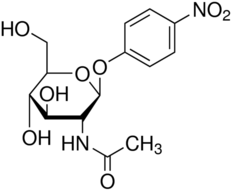 4-Nitrophenyl N-acetyl-β-D-glucosaminide