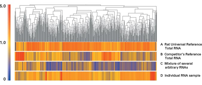 Reference RNA for real-time qPCR - Real-time PCR - Takara Bio