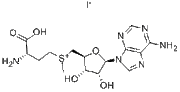 S-Adenosyl-L-methionine iodide
