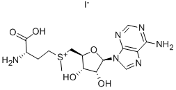 S-Adenosyl-L-methionine iodide