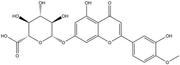 DiosMetin 7-O-β-D-Glucuronide