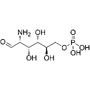 D-Glucosamine 6-phosphate