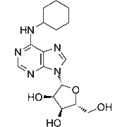 N6-Cyclohexyladenosine