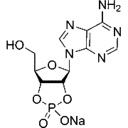 Adenosine 2',3'-cyclic phosphate sodium