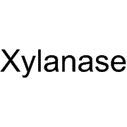 Xylanase