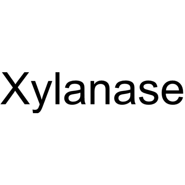 Xylanase