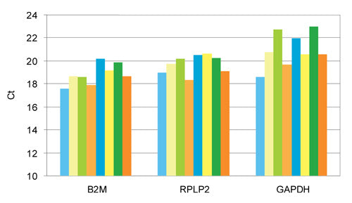 Cells to cDNA: CellAmp whole transcriptome amplification kit for RT-PCR - Real-time PCR - Takara Bio