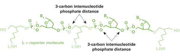 Oligo modification: Uni-Link AminoModifier - mRNA and cDNA synthesis - Takara Bio