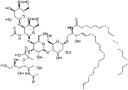 Ganglioside GM1