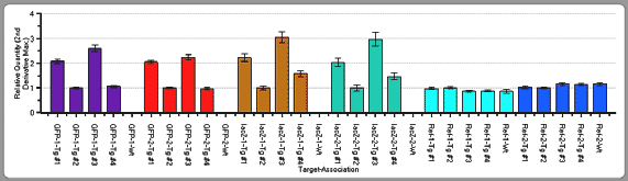 Transgene Detection Primer Set for Real Time (Mouse) - Real-time PCR - Takara Bio