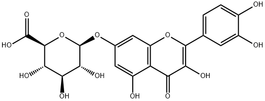 Quercetin 7-glucuronide