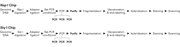 Titanium DNA Amplification Kit for genome-wide SNP and CytoScan arrays - PCR - Takara Bio