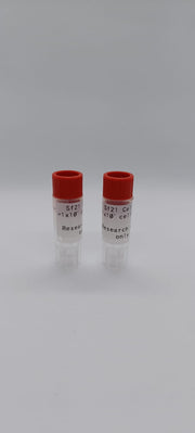 Sf21 Cells image 1