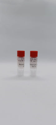 Sf9 Insect Cells image 1