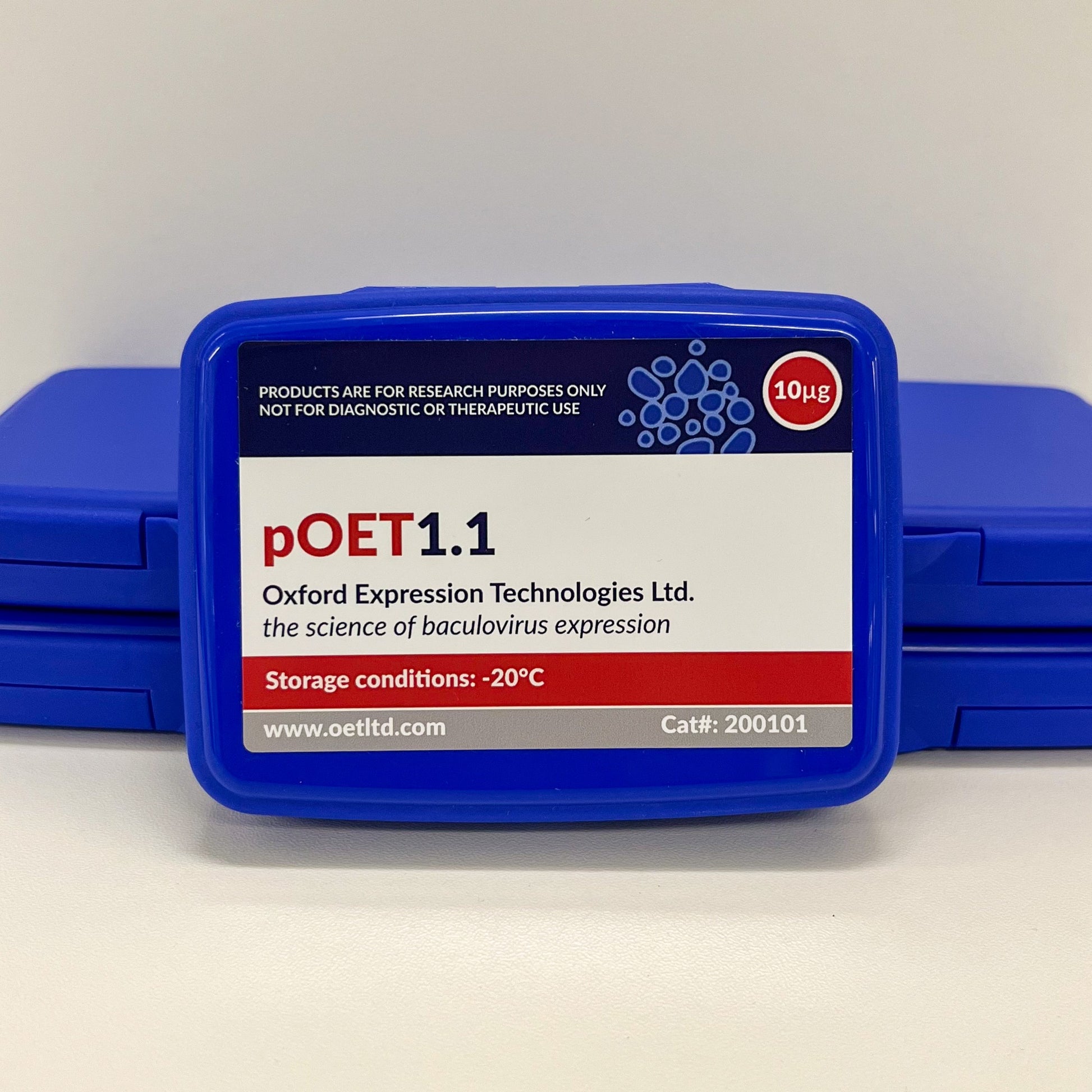 pOET1.1 Transfer Plasmid image 1