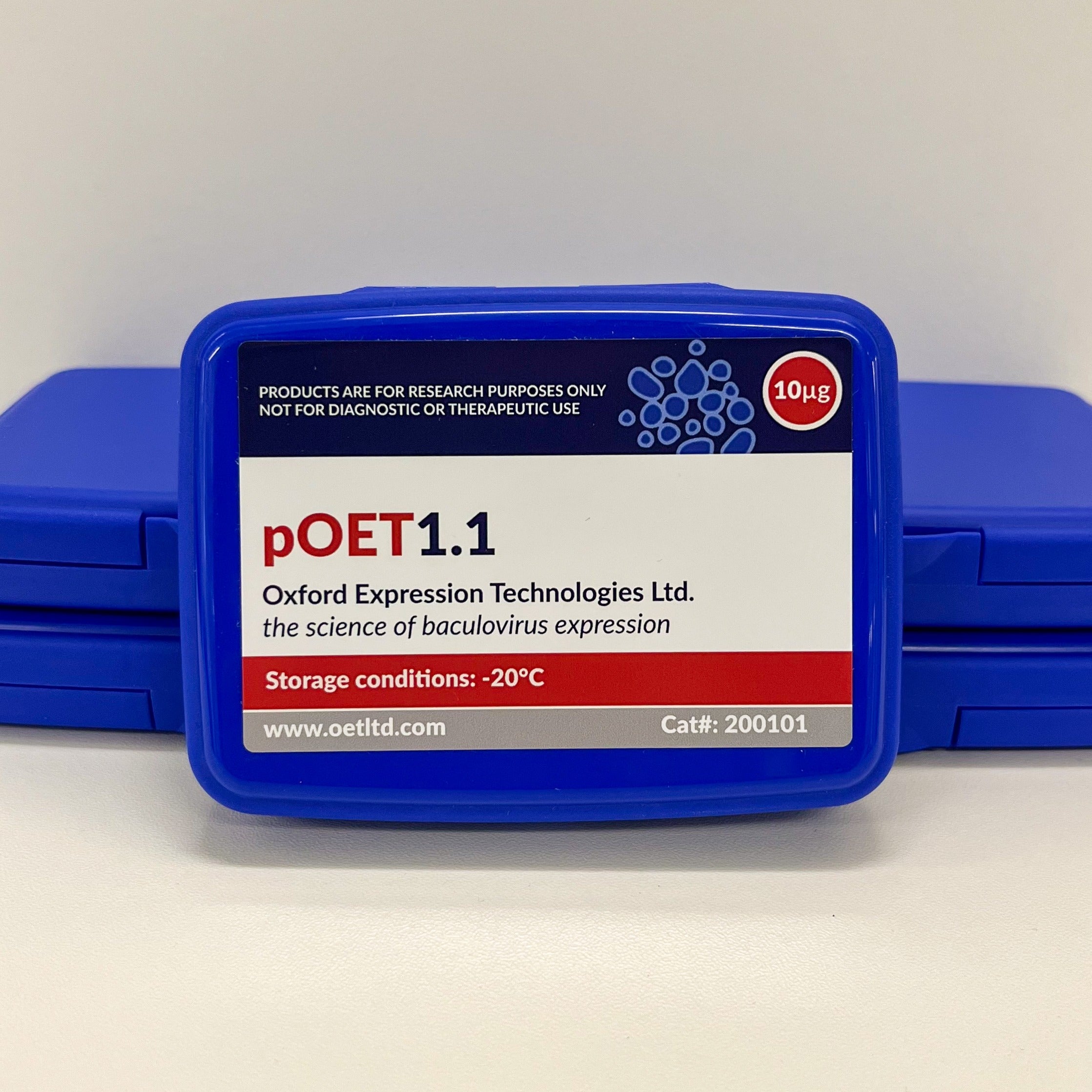 pOET1.1 Transfer Plasmid image 1