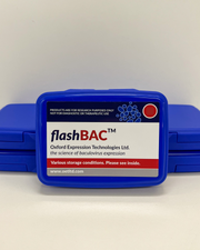 flashBAC  ORIGINAL baculovirus DNA image 1