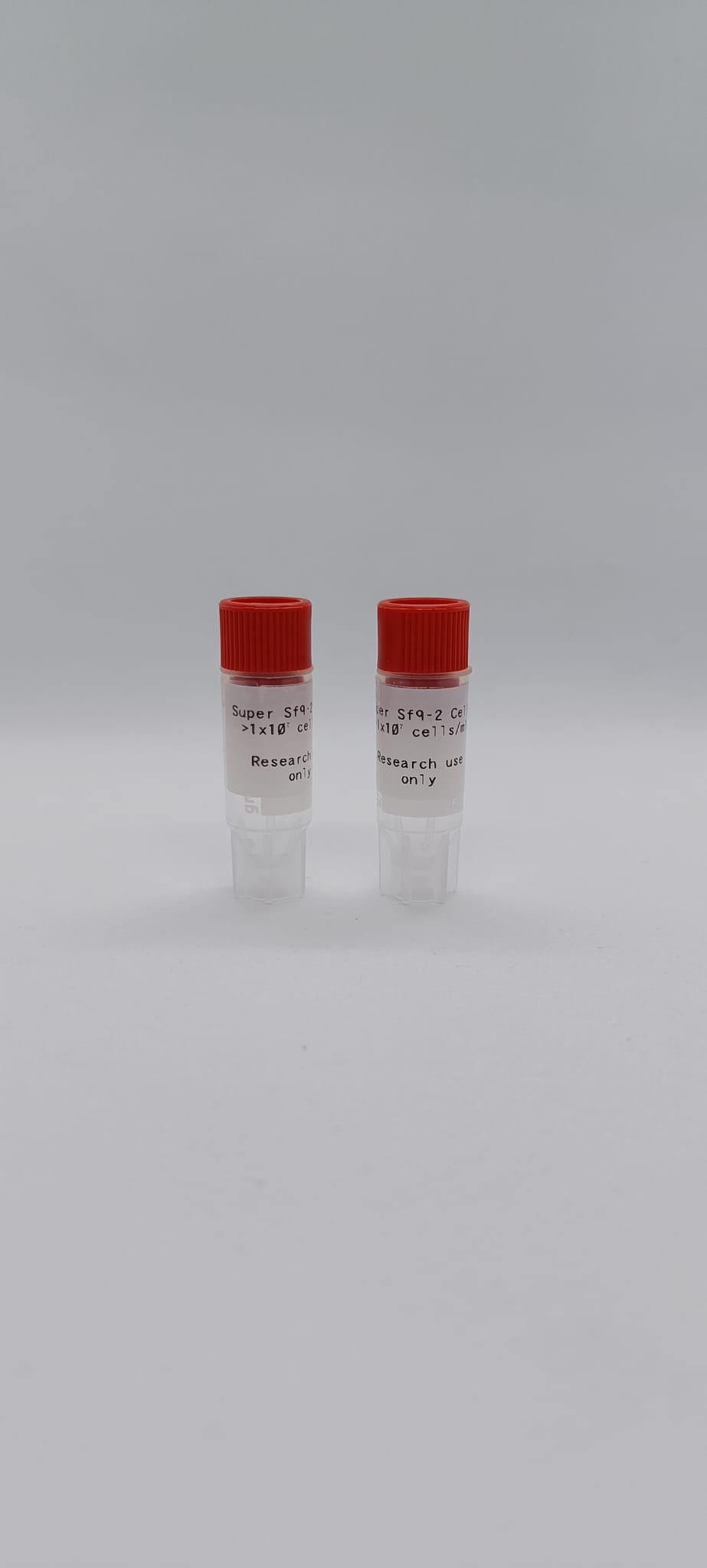 SuperSf9-2 Cells image 1