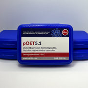 pOET5.1 Transfer Plasmid image 1