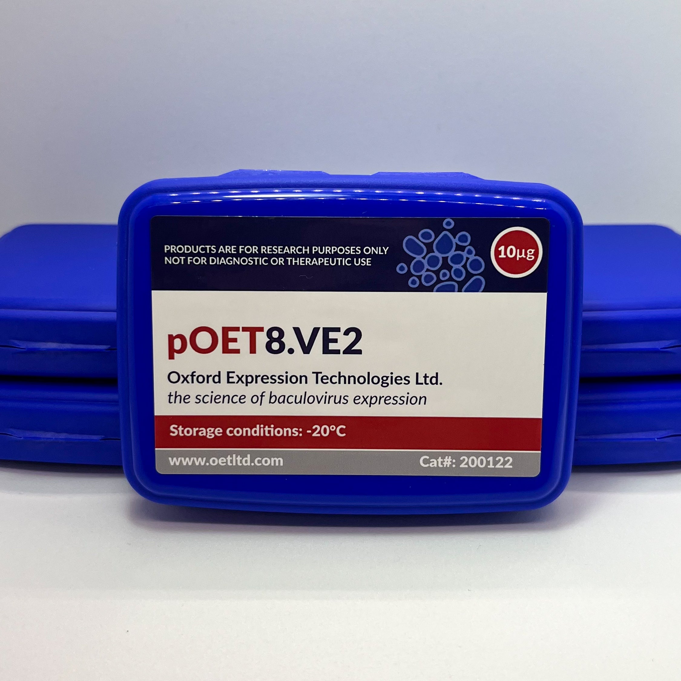 pOET8.VE2 Transfer Plasmid image 1