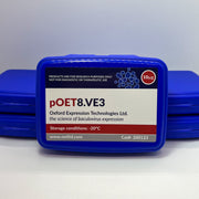 pOET8.VE3 Transfer Plasmid image 1
