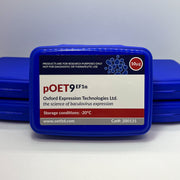 pOET9EF1α image 1