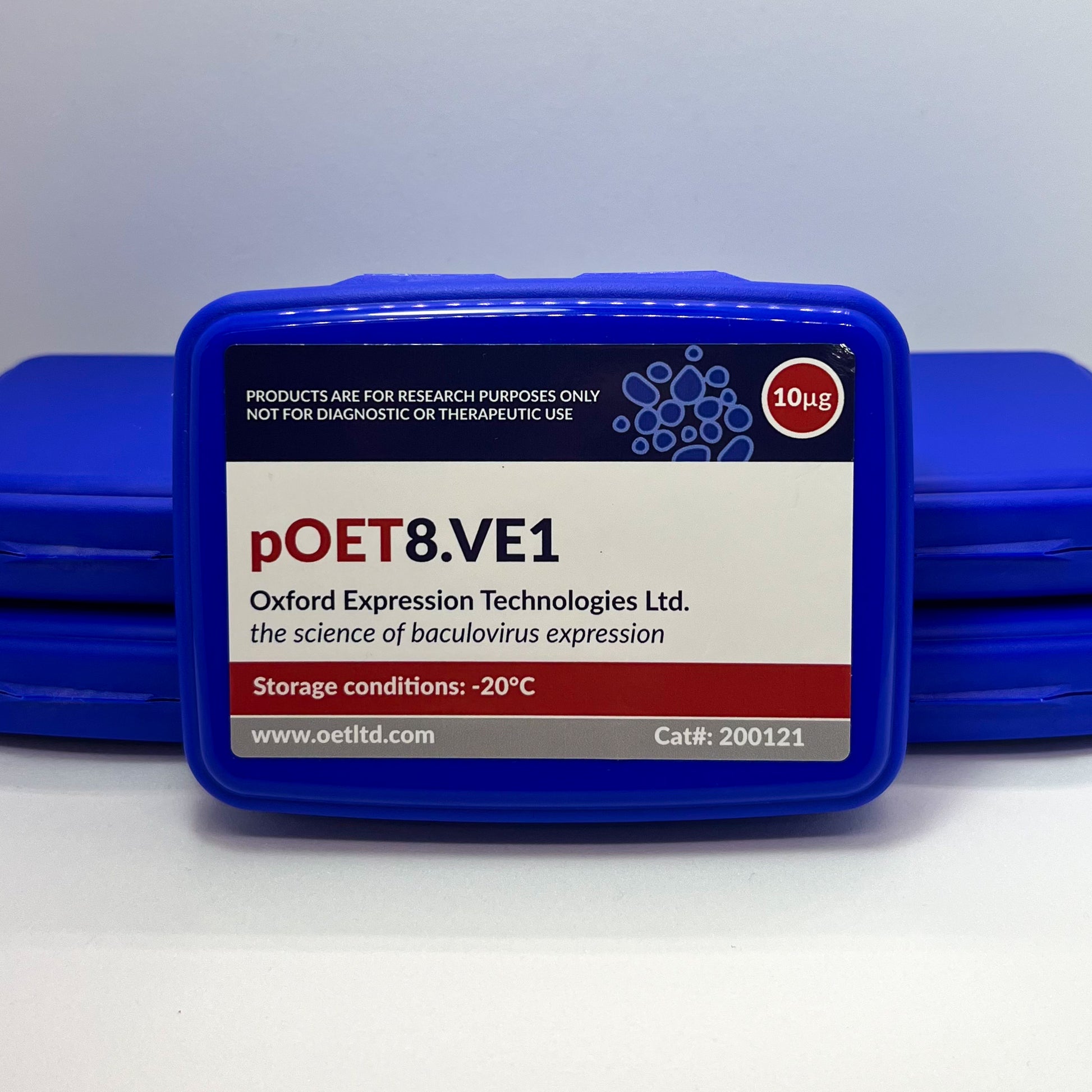 pOET8.VE1 Transfer Plasmid image 1