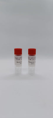 SuperSf9-1 Cells image 1