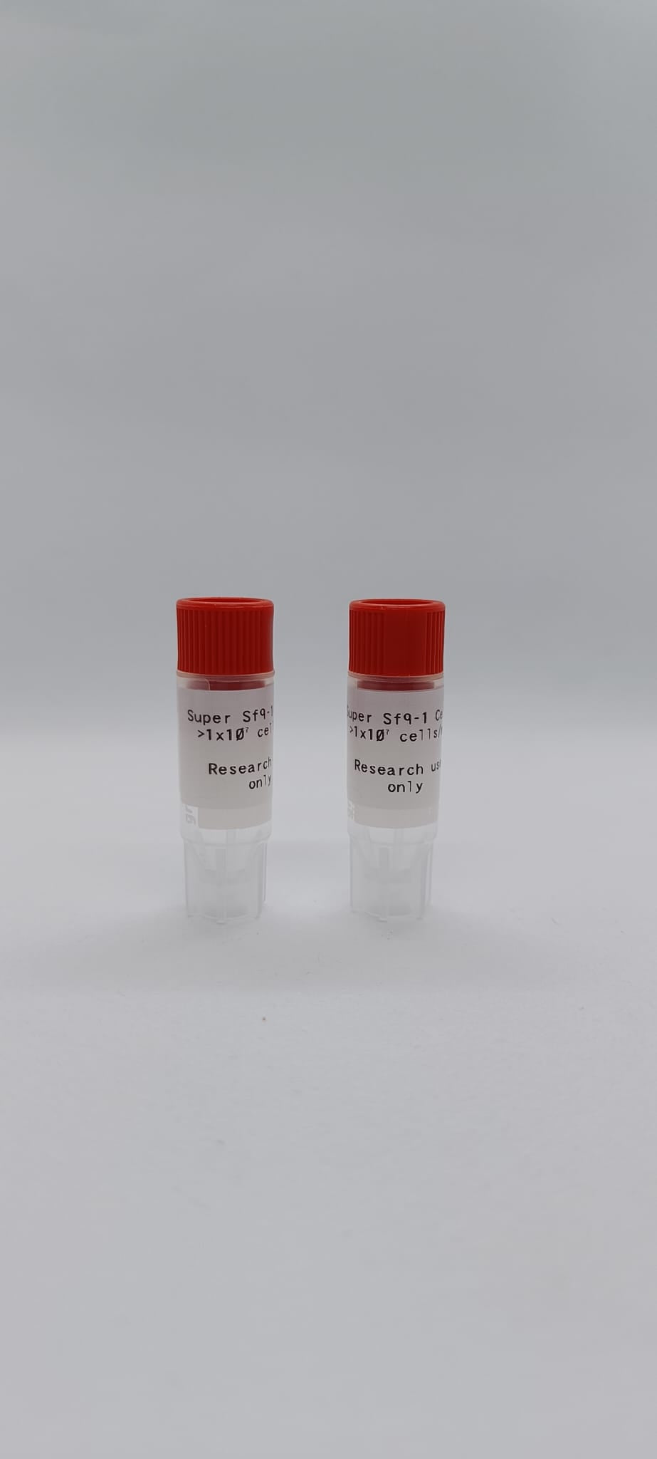 SuperSf9-1 Cells image 1