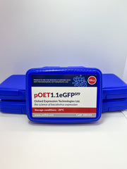 pOET1.1eGFP SF9 image 1