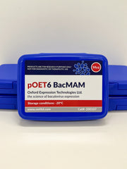 pOET6 BacMAM Transfer Plasmid image 1