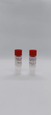 SuperSf9-3 Cells image 1