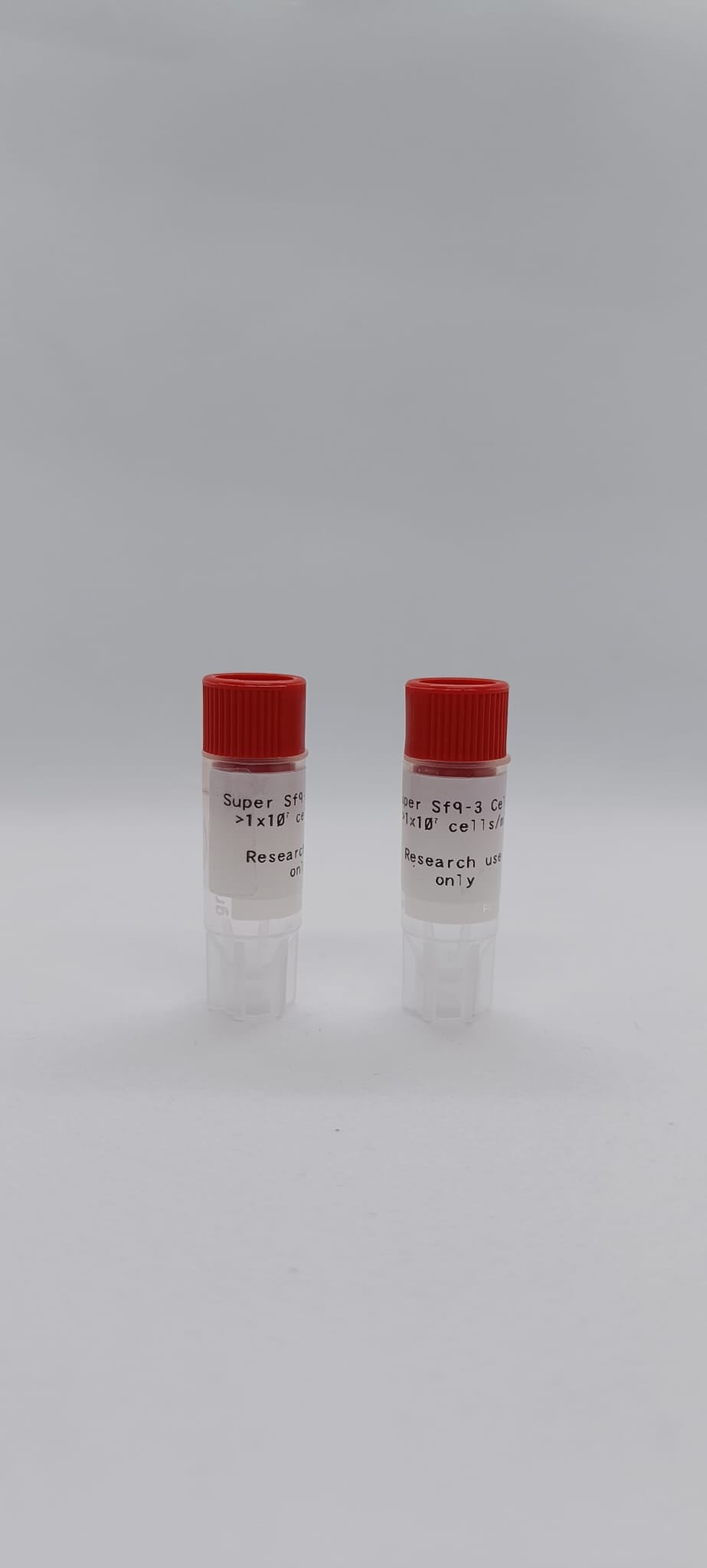 SuperSf9-3 Cells image 1