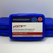 pOET9CMV image 1