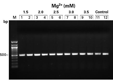 Titanium Taq DNA Polymerase and premix - PCR - Takara Bio