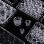 100mm Cell Culture Insert-Dish, 3 μm, PC Membrane, TC, Sterile, 1/pk, 10/cs