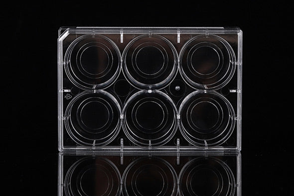 6 Well Glass Bottom Cell Culture Plate,Φ 20mm,TC, sterile 1/pk, 10/cs