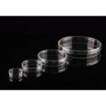 100 x 15 mm Petri Dish, X-Plate (4-section), stackable, sterile, 20/pk, 500/cs