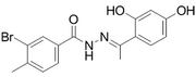 mTOR inhibitor-1