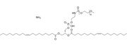 DOPE-PEG2000 ammonium