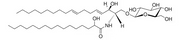 Glucocerebrosides (Soy)