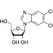 5,6-Dichlorobenzimidazole riboside