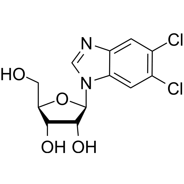 5,6-Dichlorobenzimidazole riboside