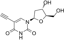 5-Ethynyl-2'-deoxyuridine