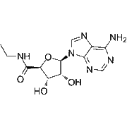 5'-N-Ethylcarboxamidoadenosine